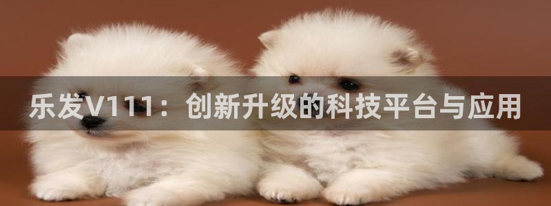 壹号娱乐4开户：乐发V111：创新升级的科技平台与应用