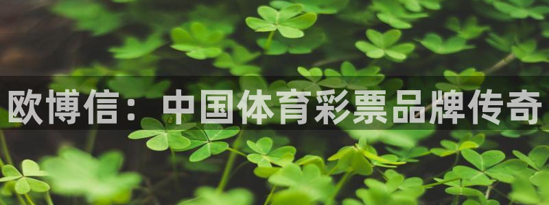 壹号娱乐凯捷平台注册链接：欧博信：中国体育彩票品牌传奇