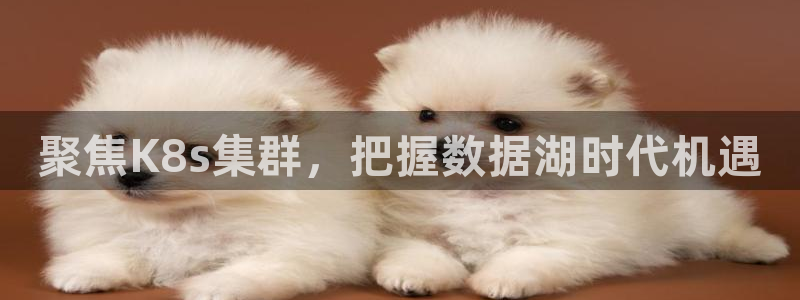 壹号娱乐4开户：聚焦K8s集群，把握数据湖时代机遇