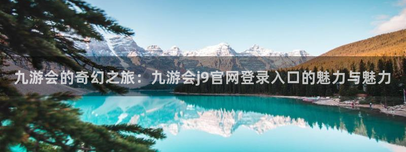 壹号娱乐体育官网登录：九游会的奇幻之旅：九游会j9官网登录入口的魅力与魅力