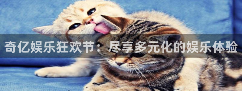 壹号娱乐体育官网入口登录：奇亿娱乐狂欢节：尽享多元化的娱乐体验