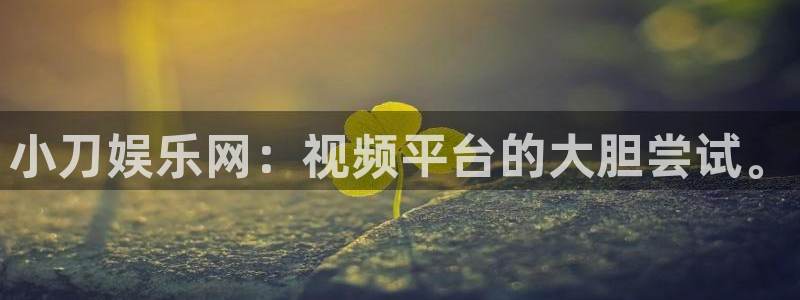 壹号娱乐电子有限公司：小刀娱乐网：视频平台的大胆尝试。