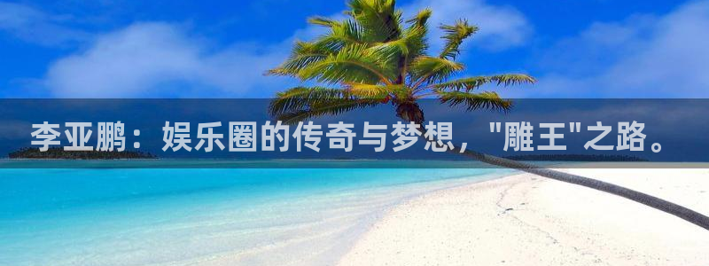 壹号娱乐体育f开号：李亚鹏：娱乐圈的传奇与梦想，\