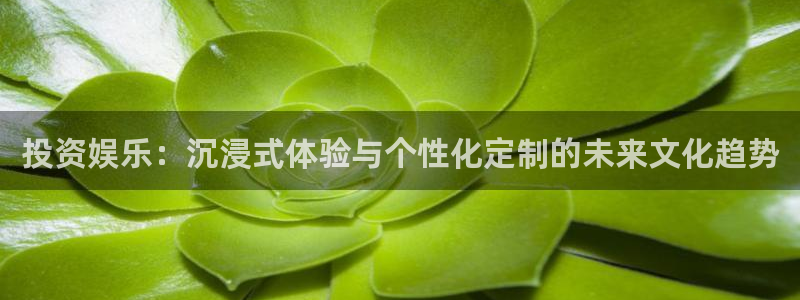 壹号娱乐体育官网入口登录：投资娱乐：沉浸式体验与个性化定制的未来文化趋势