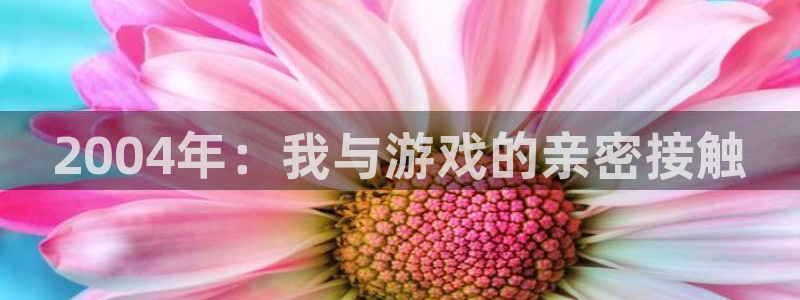壹号娱乐平台：2004年：我与游戏的亲密接触