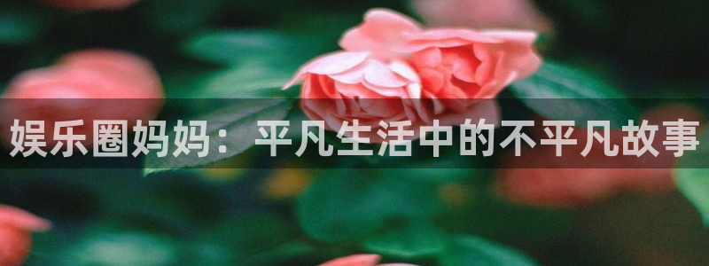 壹号娱乐集团总部：娱乐圈妈妈：平凡生活中的不平凡故事
