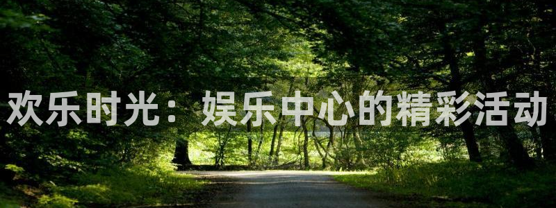 壹号娱乐体育2：欢乐时光：娱乐中心的精彩活动