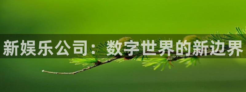 壹号娱乐平台在线开户：新娱乐公司：数字世界的新边界