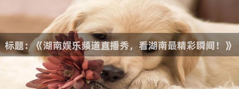 壹号娱乐k：标题：《湖南娱乐频道直播秀，看湖南最精彩瞬间！》